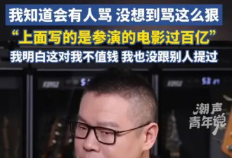 岳云鹏回应“达成百亿票房演员”：我知道会有人骂，但没想到骂这么狠