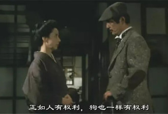 对动物残忍的人，只是不喜欢动物吗？