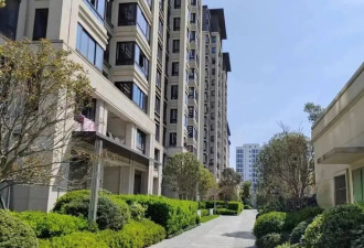 小区治理，建立在童话之上