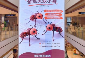 多家商场推出活动：10只蚊子换一杯奶茶 死活都算