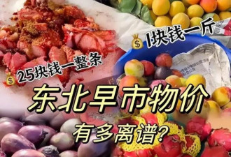东北物价火遍全网 揭开1块钱当3块花的真相