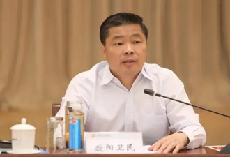 打虎！国家开发银行原行长欧阳卫民被查