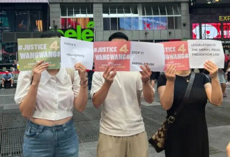 中国揭阳虐狗案 如何燃爆全球舆论？
