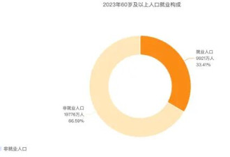 延迟退休刚刚开始 “退而不休”已经来了？