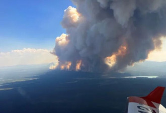 BC野火一夜暴增突破100起! 4000次雷击引爆火情, 多地紧急疏散