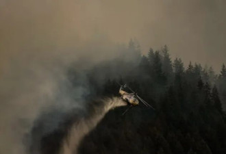 BC野火一夜暴增突破100起! 4000次雷击引爆火情, 多地紧急疏散