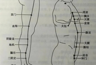 三伏是疏通经络的黄金期 一个动作全身通畅