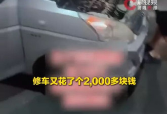 男子嫌5000元机票贵，买二手车从内蒙古自驾回湖北