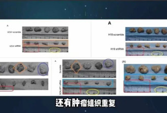 “耿同学”再曝光新晋院士团队涉嫌论文买卖