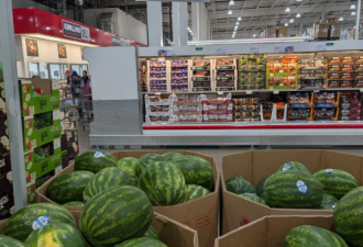 今年西瓜怎么了? 多伦多Costco卖$16.99仍翻车 沃尔玛大批人退货