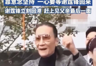 谢贤死因曝光，港媒曝火葬内幕，难怪她哭红眼