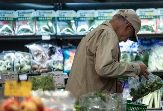 利用个人数据调整商品价格？多伦多拟禁止超市“监控定价”