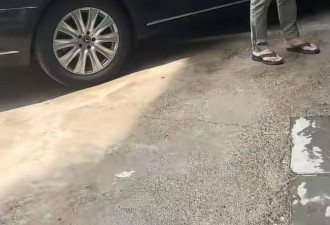 72岁刘德凯被曝昆明养老，满头白发依旧帅气