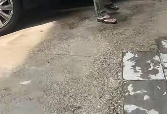 72岁刘德凯被曝昆明养老，满头白发依旧帅气