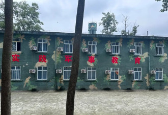 失控的监护“外包”：孩子被送特训机构之后