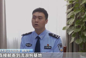250万善款仅3千元用于救助 起底流浪动物救助骗局
