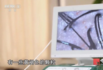 洗个头花2万元！浙江警方破获特大美发诈骗案