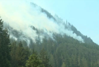 加拿大山火持续 居民：我呼吸困难，快窒息了