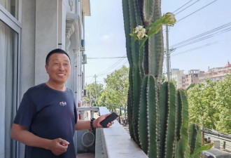两层楼高的仙人掌 竟扛过“巴威”台风侵袭