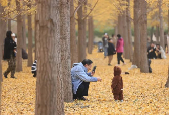 银发族开始算“带孙费”的账了