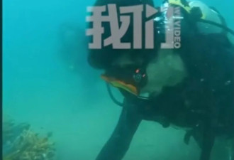 上浮时炸肺 同行者讲述马来西亚华女潜水遇难经过