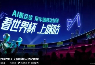 “压哨”买下世界杯版权的央视 依然赚麻了