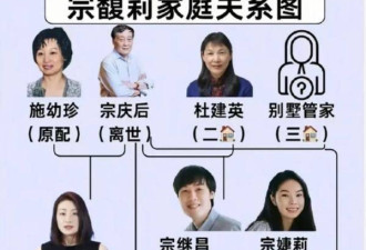 法院出手，宗馥莉看似惨败！却早已赢麻了