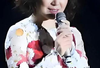 婚内出轨整容医生，偷前夫12亿财产，靠一首歌爆火的她如今怎样？