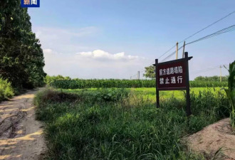 山西一路面塌陷处惊现大量白骨，文保中心回应