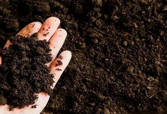 中国第一大粮仓一夜变荒地？耗时60年 为啥抛弃