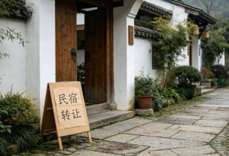 民宿卷到五十元包早餐！大理的老板集体亏惨