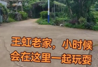 王虹老宅成打卡地！网友：就该追这样的星