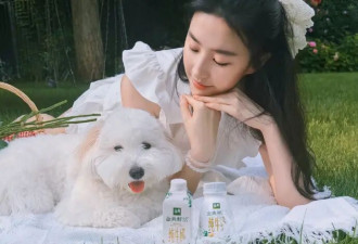 38岁刘亦菲久违晒出最新美照，纯白纱裙，彷佛回到你的初恋