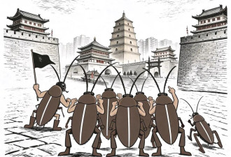 恐怖！南方大蟑螂们正席卷中国