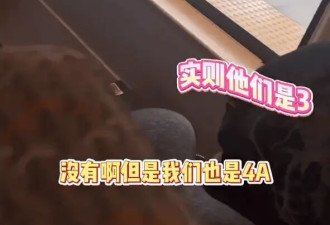 铁路部门回应“李权哲高铁占座事件” 否认其车票座位发生变更