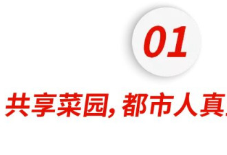 种地，成了中产最烧钱的户外运动 真相没那么简单
