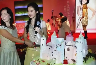 向太曝刘亦菲私下人品，与陈金飞关系真相大白