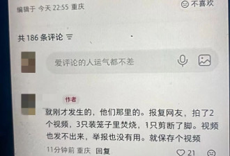 广东4名小六生“虐死浪浪一家”！网曝同村为挑衅“又烧死3猫”