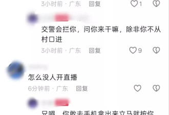 广东4名小六生“虐死浪浪一家”！网曝同村为挑衅“又烧死3猫”