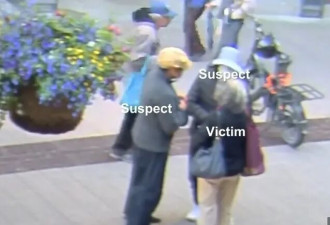 专挑华裔老人下手! “祈福骗局” 13名长者被骗超30万加元