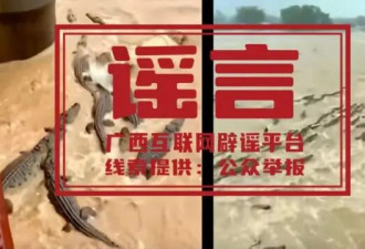 自然灾害频传，中国面临新挑战——AI伪造视频