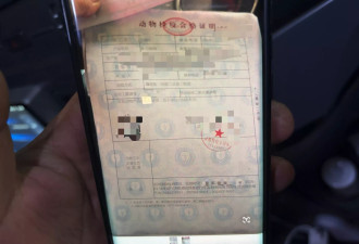 跨省货车离奇偏航:一场以查扣为名的"漂货"捕猎